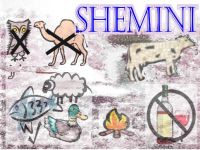 shemini